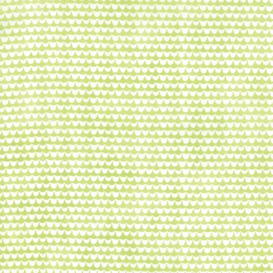 Moda Fabrics - Fresh Cut Celery von Basicgrey